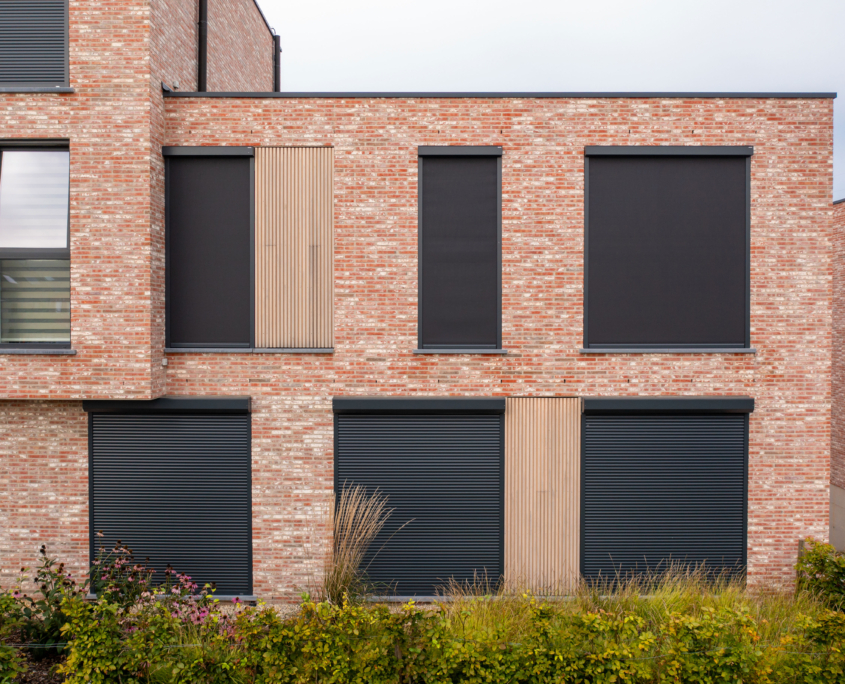 Harol_202309_300dpi-68_B